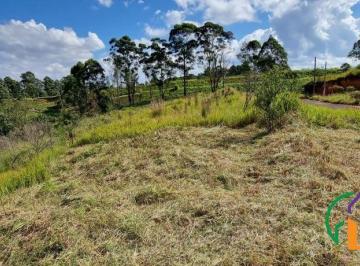 venda-jardim-cury-aruja-1-9628040.jpeg · Imoveis - no Jardim Cury