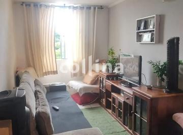 whatsapp-image-2026-03-11-at-11-35-06-31773240311005.jpeg · Imoveis - no Conjunto Habitacional Presidente Castelo Branco