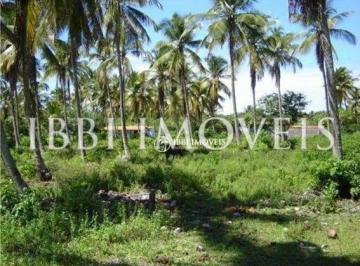 d0587f63ad7176aac50cf129ada85b4ca513fd25 · Terreno à venda, 611 m² por R$ 185.000,00 - Morro de São Paulo - Cairu/BA