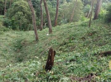 Terreno · 525m² · Terreno à Venda – Chácara Jaguari
