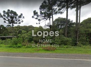 Comercial · 144200m² · ÁREA DE TERRA | CAMPO LARGO | 6 ALQUERES