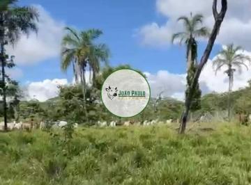 Rural , Alvorada do Norte · Fazenda a venda em Alvorada do Norte-GO - 619 Hectares - Pronta para pecuária - Coloca 1.000 cabeças