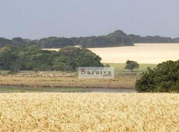 c3e1956a46d434aa040d164940d3ac44ac16a21d · Fazenda à venda, 21620280 m² por R$ 450.000.000 - Centro - Paranapanema/SP
