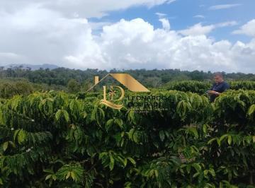 Foto 01 · Fazenda, Porto Seguro, Arataca, BA
