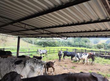Rural de 3 quartos, Itaboraí · Fazendinha Produtiva C/ 17 Hectares - Rica em Água - C/ Localização Nobre