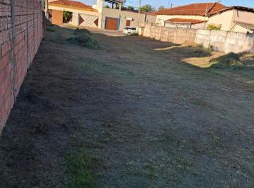 Foto 01 · Terreno, Mirante, Mogi Mirim, SP