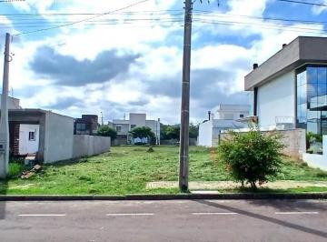 202603121744236516.jpeg · Terreno para Venda em Santa Maria, Camobi