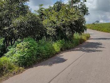 202407231153352750.jpg · Lote para Venda em São Joaquim de Bicas, Nazare