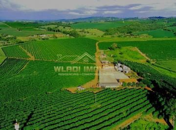 202603121844259352.jpeg · Fazenda para Venda em Paraguaçu, 3 km do asfalto