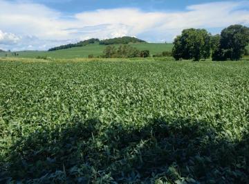 Rural · 23140m² · Chácara à venda com rio nos fundos