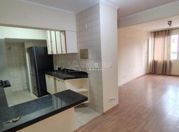 0 · apartamento á venda e para aluguel em Cambuí