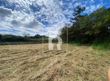 Rural · 10000m² · Chácara à venda, Centro - Queluzito/MG