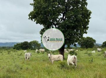 Rural , Formosa · Fazenda a venda em Formosa-GO - 1.379 Hectares - Toda formada em pasto