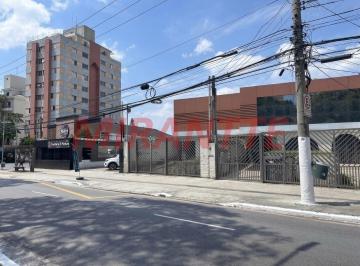 1e0db54a8380cf0670cbc62c4bcccf72.jpg · Comercial de 1313m²
