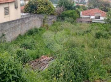 Terreno · 600m² · Terreno à venda em Vila pereira barreto - SP