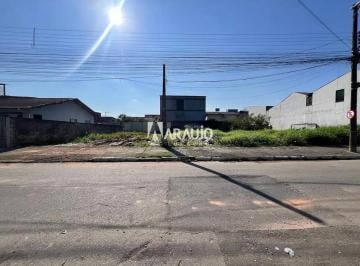 gir13hfrzhxz1770579607312.jpg · Terreno para alugar em Cordeiros - Itajaí