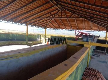 Imagem 1 · Fazenda