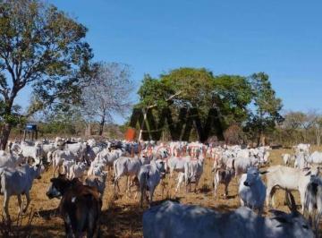 Imagem 1 · Fazenda