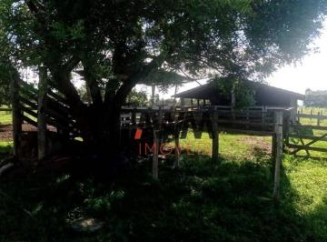 Imagem 1 · Fazenda