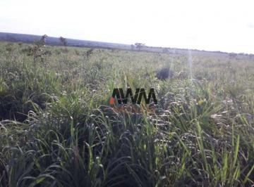 Imagem 1 · Fazenda