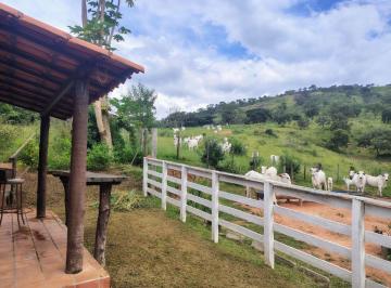 Rural , Itaúna · Fazenda em Itaúna MG - 78 hectares