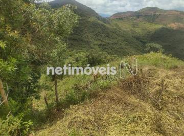 Terreno · 370m² · Lote no Jardim da Torre