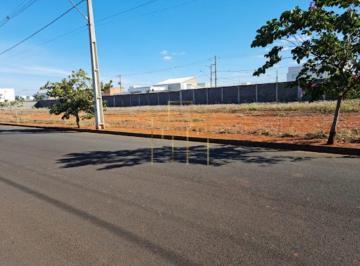 Foto 01 · Terreno à venda - em Novo Mundo