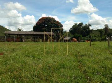 Foto 01 · Fazenda de 9,90 alqueires à venda em Uberlândia-MG na Área Rural: oportunidade imperdível!
