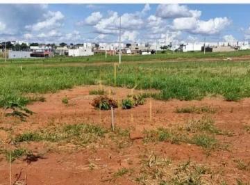 Foto 01 · Terreno à venda - em Custódio Pereira
