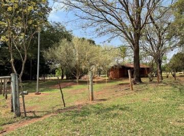 Foto 01 · Fazenda de 17 alqueires à venda em Uberlândia-MG, no bairro Tubalina: oportunidade única!