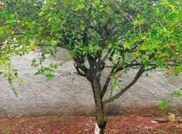 Imagem 1 · Casa