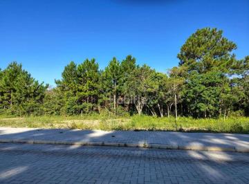 82a598036909d67c4a9e0e35aab65ebf5d1eb3d1 · Terreno à venda, 375 m² - Ribeirão da Ilha - Florianópolis/SC