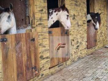 eaf98a3de828f3dc7e12b0ef41fd53a83069c735 · Chácara Mini Haras 3 dormitórios à venda, 6930 m² por R$ 1.550.000 - Centro - Santo Antônio do Caiua