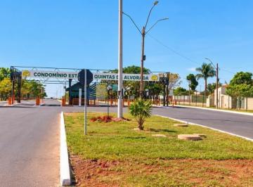 202609101050179694.jpg · Lote em Condomínio Fechado para Venda em Brasília, Setor Habitacional Jardim Botânico