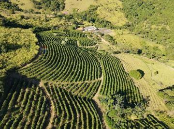 Rural · 160000m² · 3 Quartos · 5 Vagas · RE/MAX VENDE SÍTIO DE CAFÉ COM 16 HECTARES NA ÁREA RURAL SÃO SEBASTIÃO DA GRAMA SP
