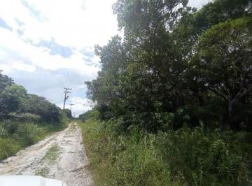 Terreno , Itanhaém · TERRENO COM 280m² NO BAIRRO MARAMBÁ A 700 METROS DA PRAIA
