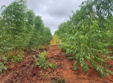 Rural · 5400000m² · Rurais à venda - na Zona Rural