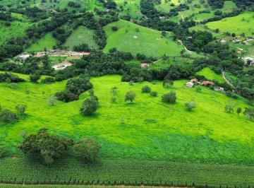 Foto 29 · FAZENDA DE 52 HA À VENDA EM PIRACEMA /MG