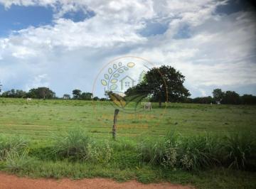 Imagem 1 · Fazenda