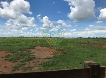 Imagem 1 · Fazenda
