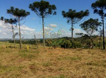 Imagem 1 · Haras e Área Rural Padrão