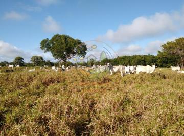 Imagem 1 · Fazenda
