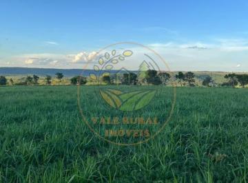 Imagem 1 · Fazenda
