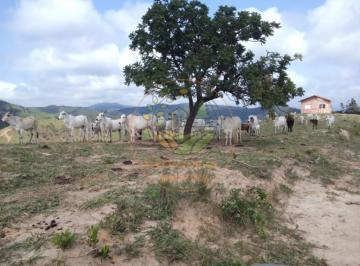 Imagem 1 · Haras e Área Rural Padrão