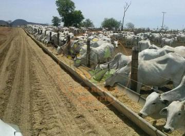 Imagem 1 · Fazenda