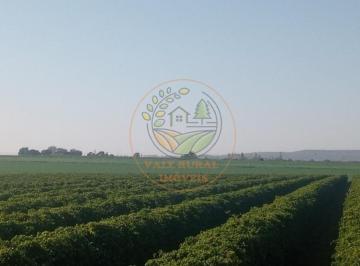 Imagem 1 · Fazenda para venda em Centro, Patos de Minas