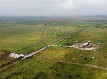 Imagem 1 · Fazenda