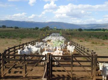 Imagem 1 · Fazenda