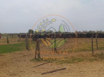 Imagem 1 · Fazenda