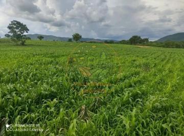 Imagem 1 · Fazenda
